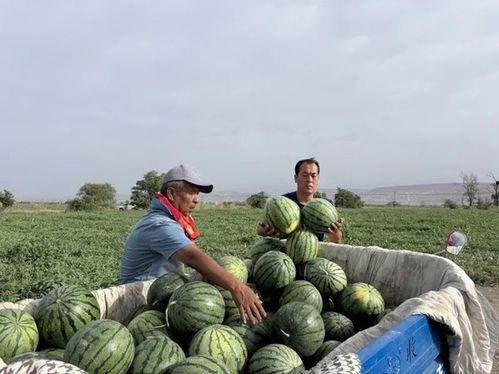 商业和城镇商业大亨 