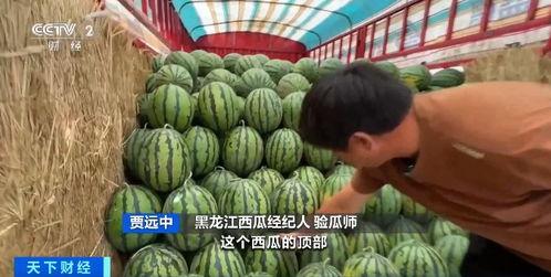 商业和城镇商业大亨 