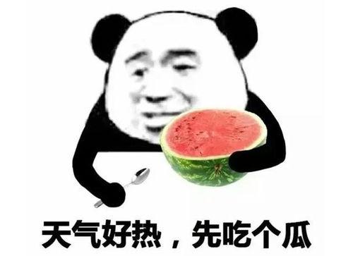 表情包大乱斗 