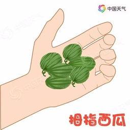 小海主题字体下载 